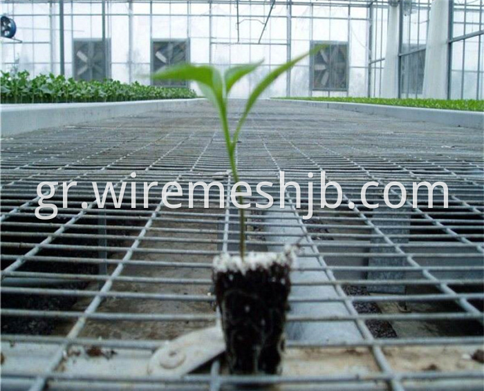 Greenhouse Seedling Bed Mesh